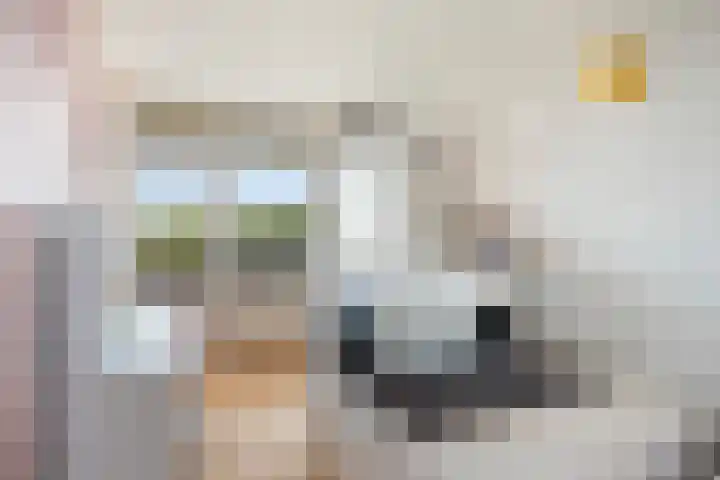Jonkerbos 201 Zoetermeer thumbnail 17