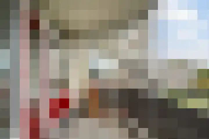 Jonkerbos 201 Zoetermeer thumbnail 22