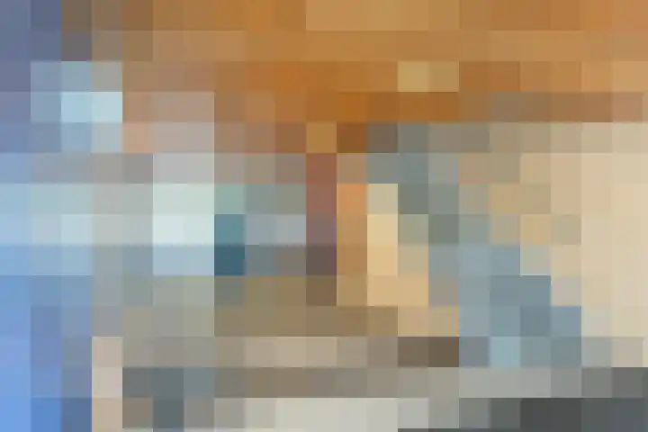 Jonkerbos 201 Zoetermeer thumbnail 30