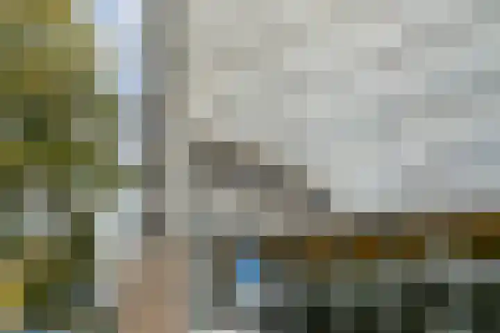 Jonkerbos 201 Zoetermeer thumbnail 31