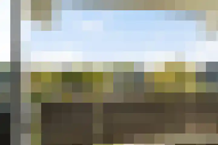 Jonkerbos 201 Zoetermeer thumbnail 4