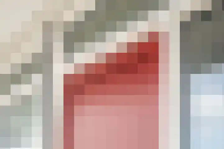 Jonkerbos 201 Zoetermeer thumbnail 7