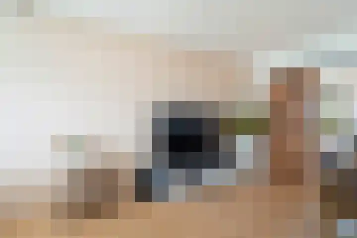 Jonkerbos 201 Zoetermeer thumbnail 9