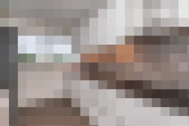 Jonkerbos 216 Zoetermeer thumbnail 10