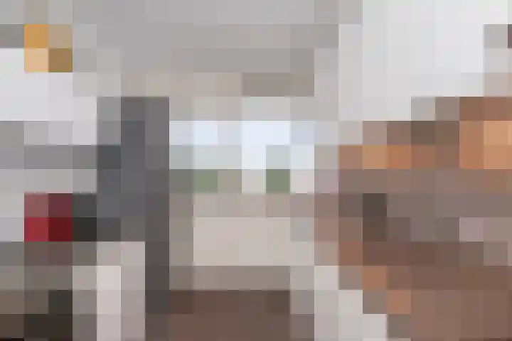 Jonkerbos 216 Zoetermeer thumbnail 11