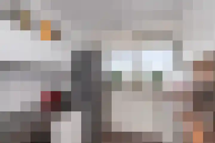 Jonkerbos 216 Zoetermeer thumbnail 12