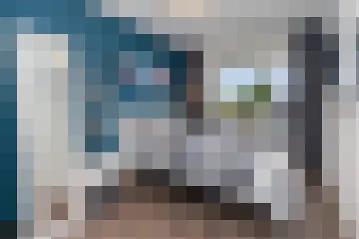 Jonkerbos 216 Zoetermeer thumbnail 14