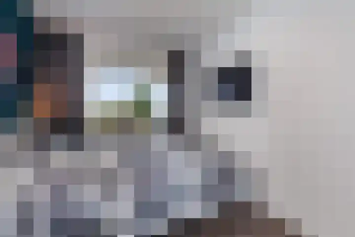Jonkerbos 216 Zoetermeer thumbnail 15