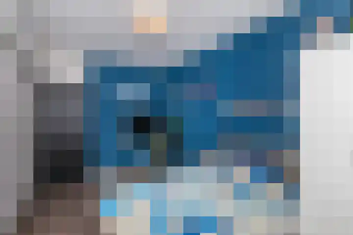 Jonkerbos 216 Zoetermeer thumbnail 19