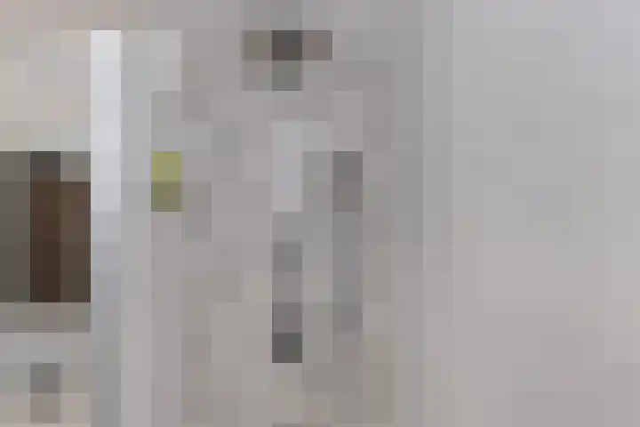 Jonkerbos 216 Zoetermeer thumbnail 23