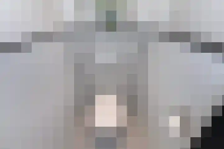 Jonkerbos 216 Zoetermeer thumbnail 24