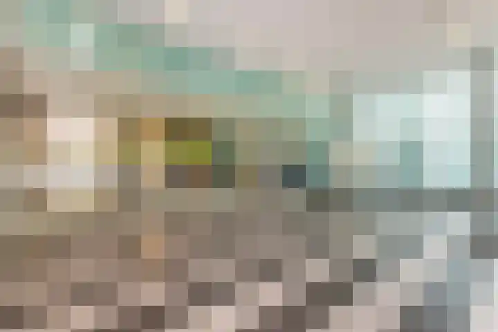 Jonkerbos 216 Zoetermeer thumbnail 27