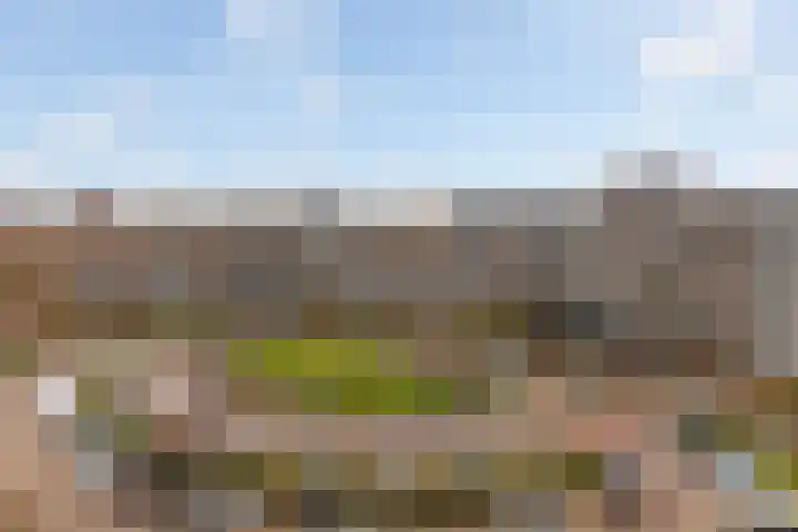 Jonkerbos 216 Zoetermeer thumbnail 29