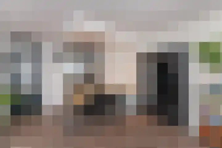 Jonkerbos 216 Zoetermeer thumbnail 6