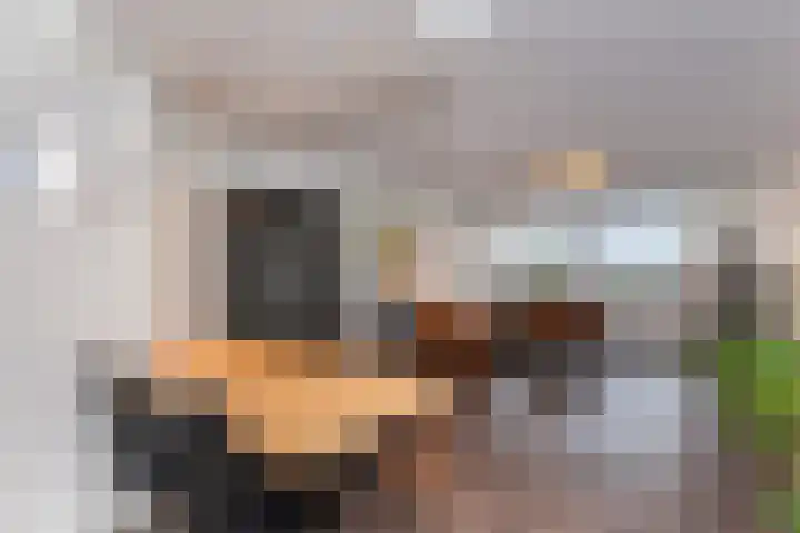 Jonkerbos 216 Zoetermeer thumbnail 8