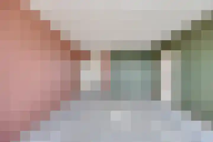 Jonkerbos 233 Zoetermeer thumbnail 12