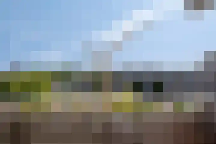 Jonkerbos 233 Zoetermeer thumbnail 21