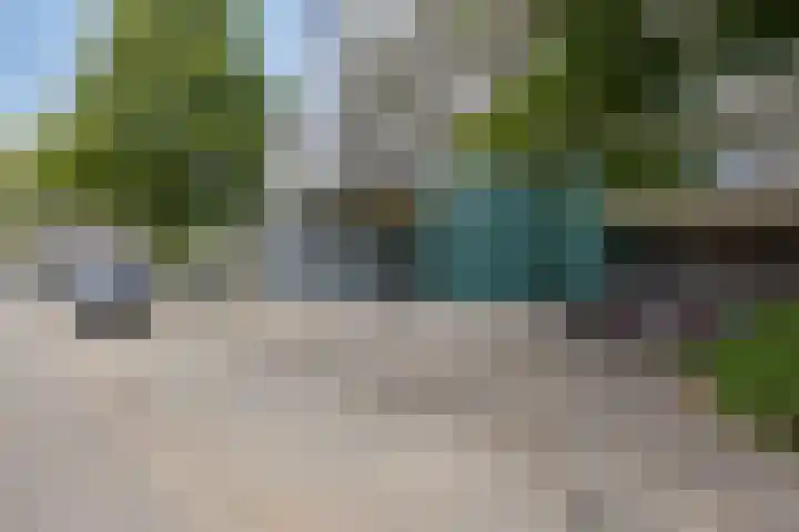 Jonkerbos 233 Zoetermeer thumbnail 22
