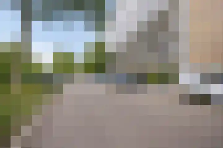 Jonkerbos 233 Zoetermeer thumbnail 23