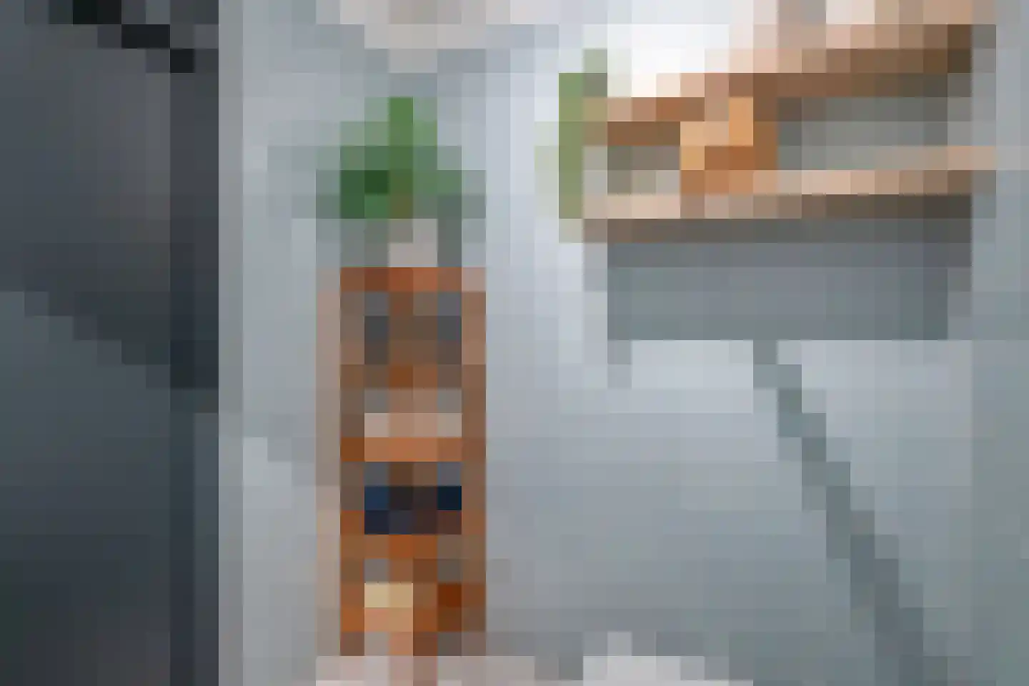 Jonkerbos 243 Zoetermeer thumbnail 25