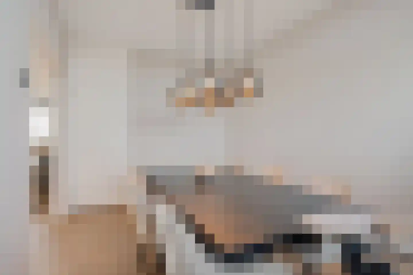 Jonkerbos 247 Zoetermeer thumbnail 26