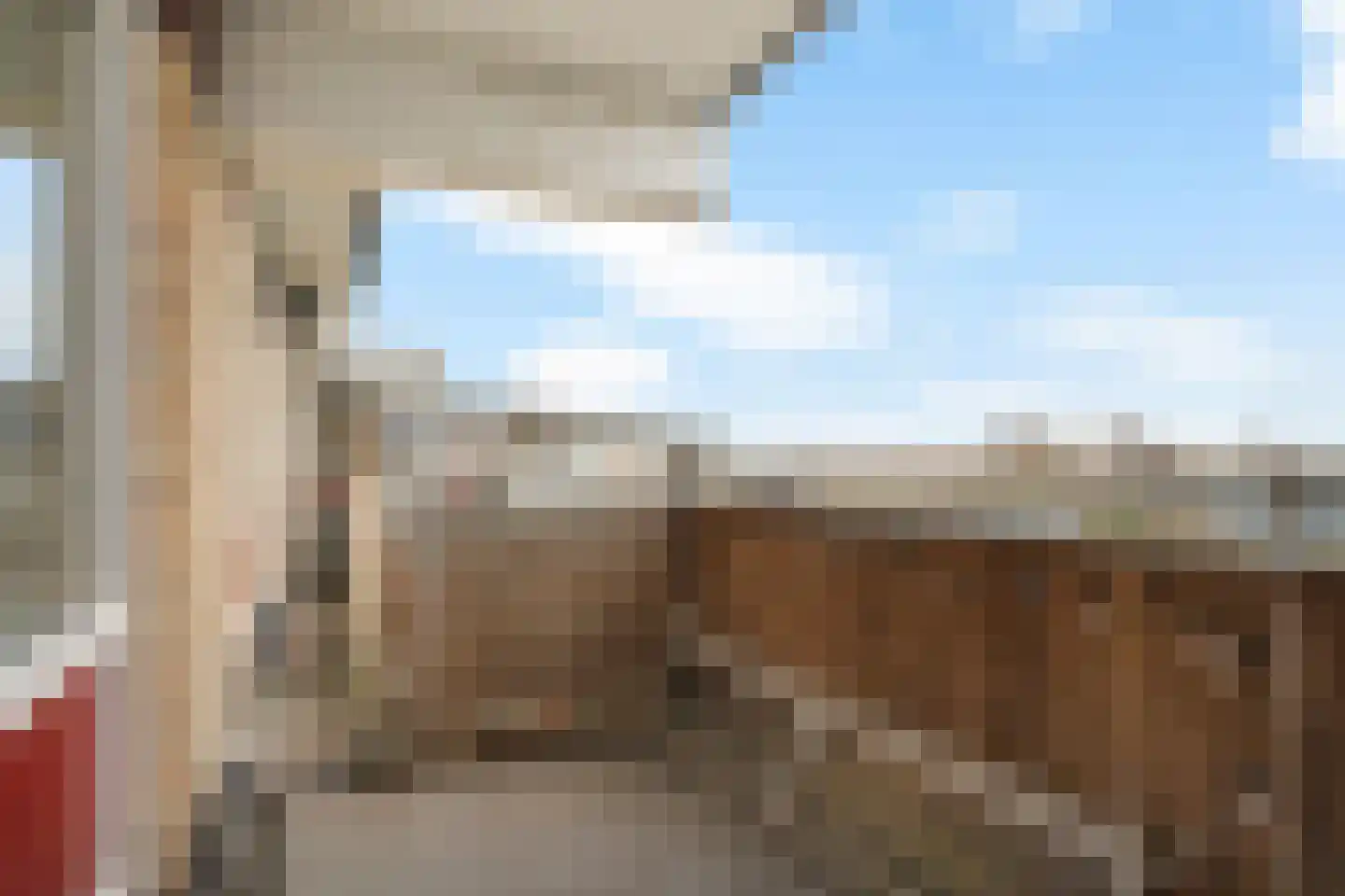 Jonkerbos 247 Zoetermeer thumbnail 39