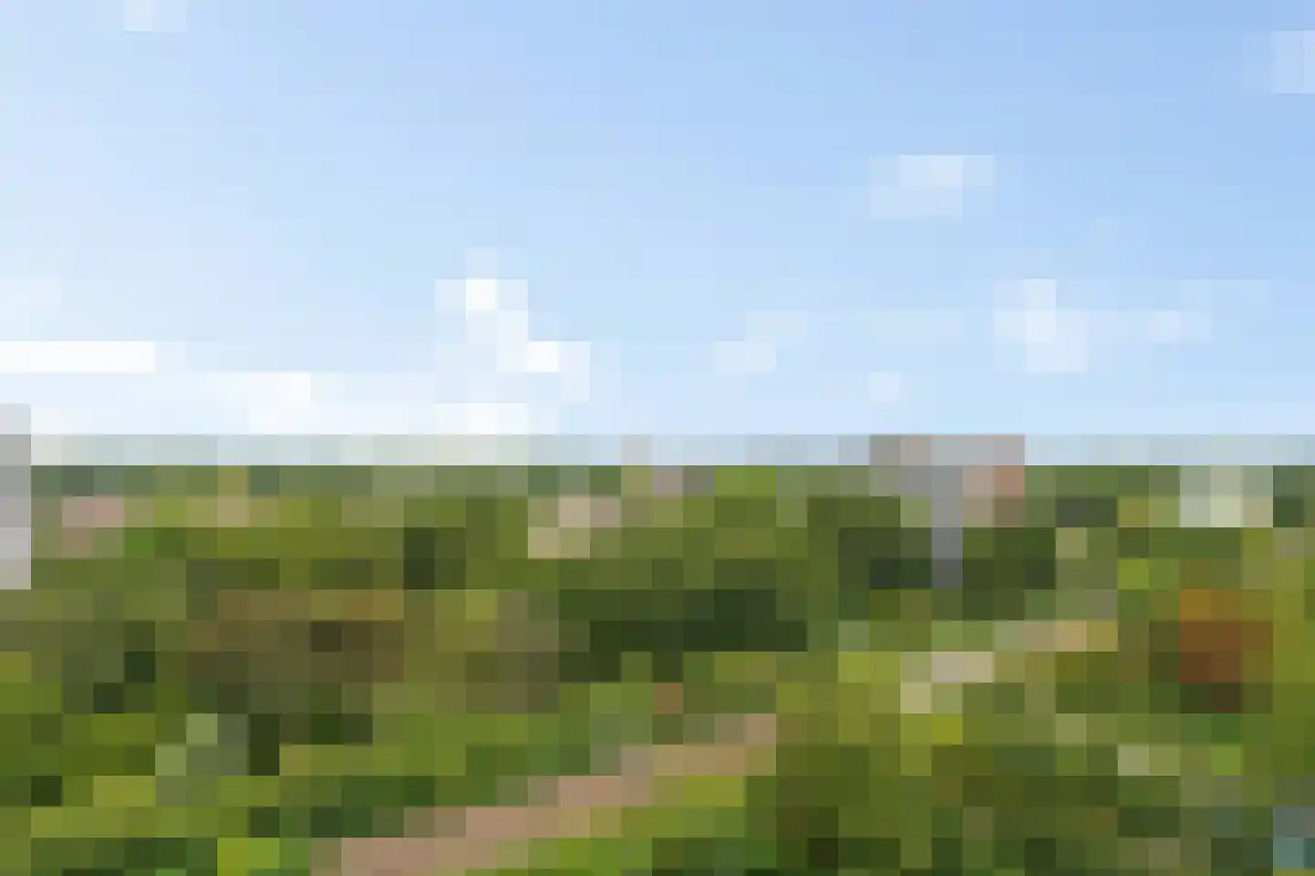 Jonkerbos 247 Zoetermeer thumbnail 53