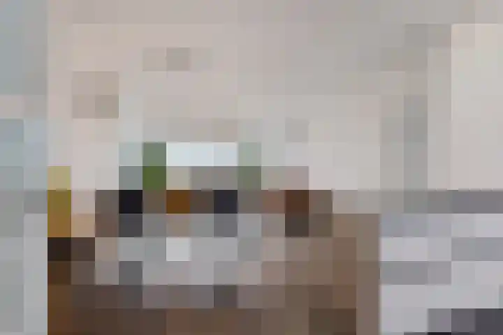 Jonkerbos 250 in Zoetermeer