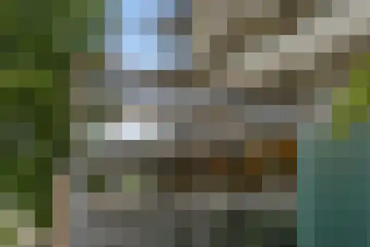 Jonkerbos 250 Zoetermeer thumbnail 10