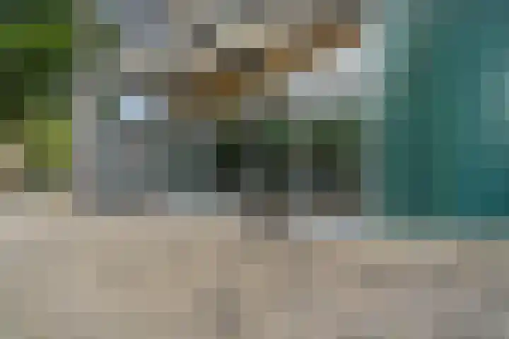Jonkerbos 250 Zoetermeer thumbnail 11