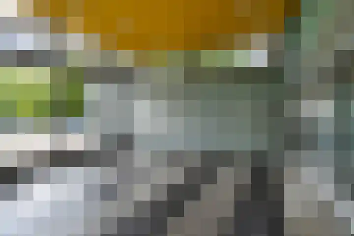 Jonkerbos 250 Zoetermeer thumbnail 12
