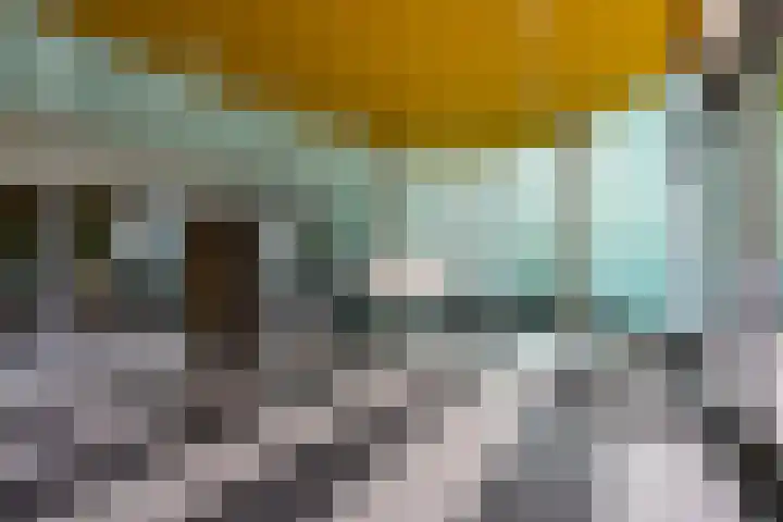 Jonkerbos 250 Zoetermeer thumbnail 13