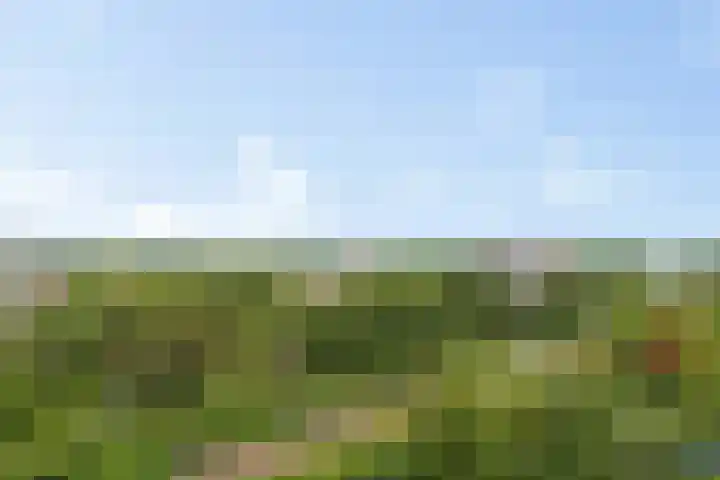 Jonkerbos 250 Zoetermeer thumbnail 15