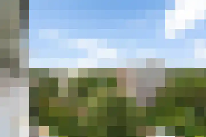 Jonkerbos 250 Zoetermeer thumbnail 16