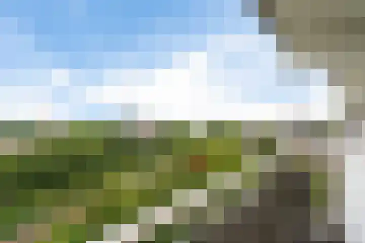 Jonkerbos 250 Zoetermeer thumbnail 17