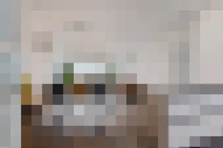 Jonkerbos 250 Zoetermeer thumbnail 20
