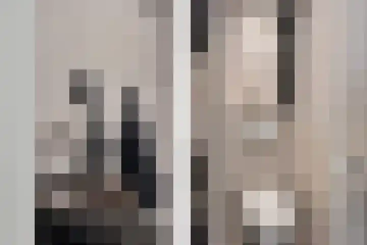 Jonkerbos 250 Zoetermeer thumbnail 22
