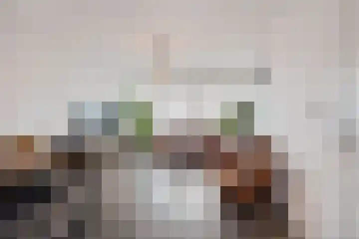 Jonkerbos 250 Zoetermeer thumbnail 26
