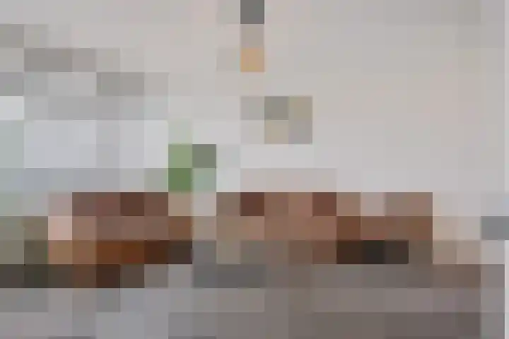 Jonkerbos 250 Zoetermeer thumbnail 27