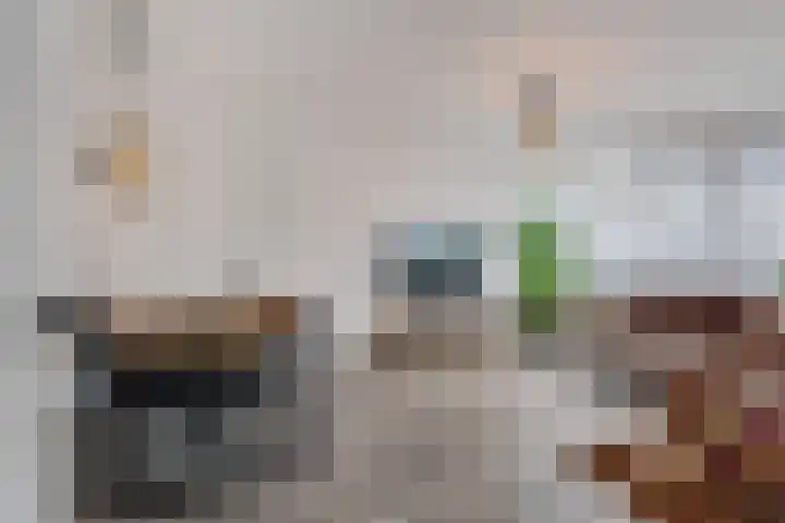 Jonkerbos 250 Zoetermeer thumbnail 28