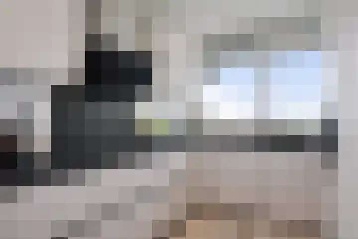 Jonkerbos 250 Zoetermeer thumbnail 33