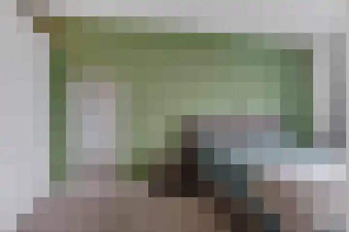 Jonkerbos 250 Zoetermeer thumbnail 35