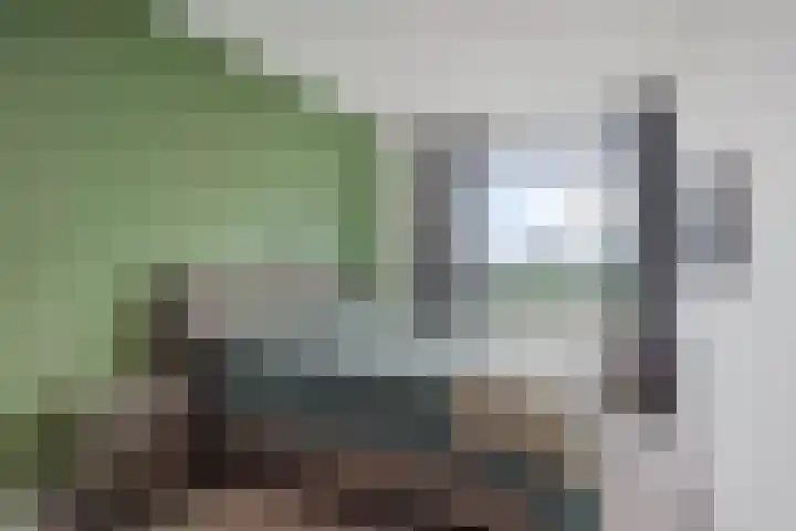 Jonkerbos 250 Zoetermeer thumbnail 36