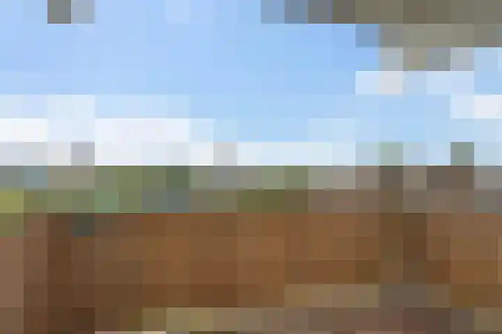 Jonkerbos 250 Zoetermeer thumbnail 44