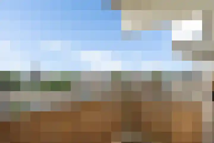 Jonkerbos 250 Zoetermeer thumbnail 45