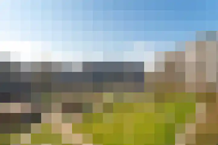 Jonkerbos 250 Zoetermeer thumbnail 47