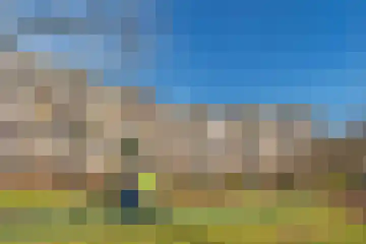 Jonkerbos 250 Zoetermeer thumbnail 48