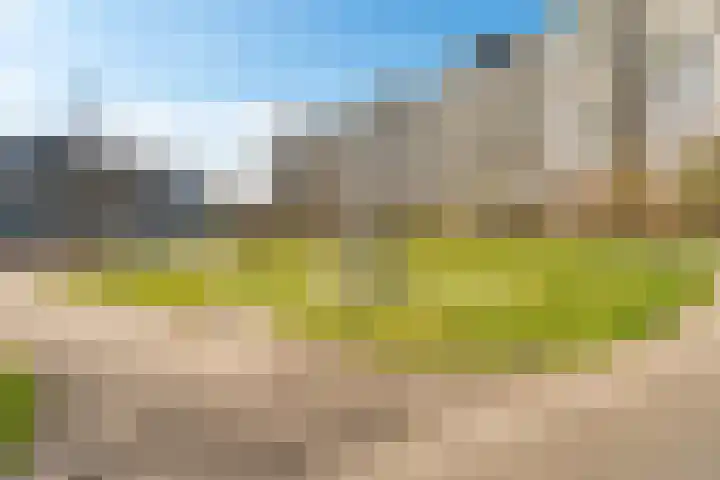 Jonkerbos 250 Zoetermeer thumbnail 7