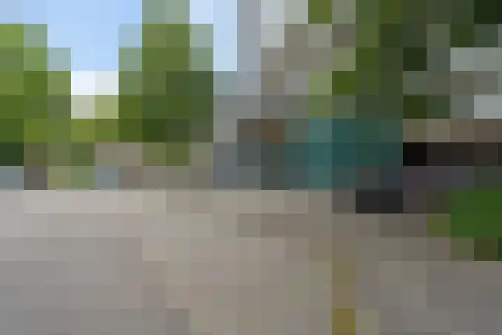 Jonkerbos 250 Zoetermeer thumbnail 9