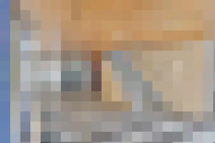 Jonkerbos 28 Zoetermeer thumbnail 12